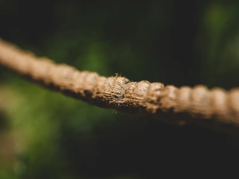 angling braid line closeup — photo from Pexels