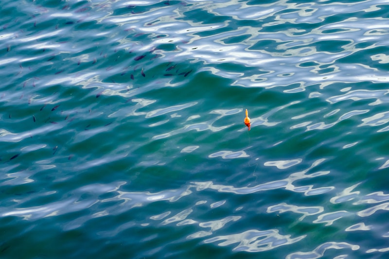 Fishing bobber floating on rippling blue water — photo from Unsplash