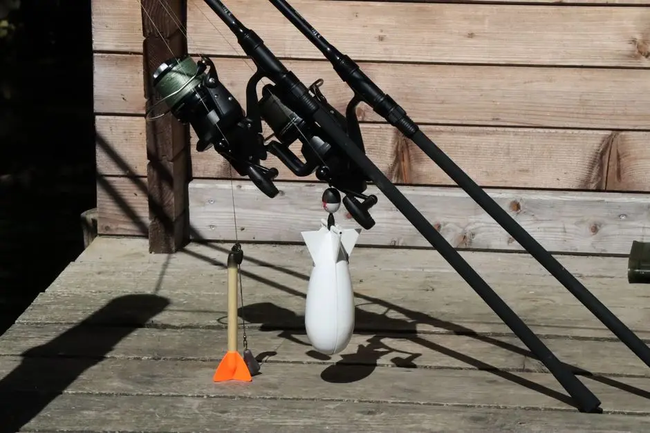 European carp fishing