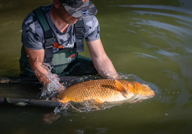conservation water for carp fishing retailers and distributors