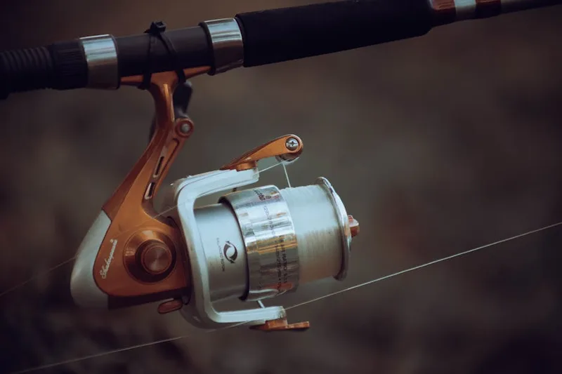fishing reel spool tackle setup for fishing enthusiasts