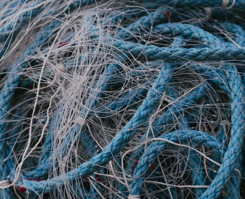 fishing braid PE rating — photo from Pexels