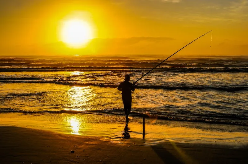 surf fishing beach angler — photo from Pexels